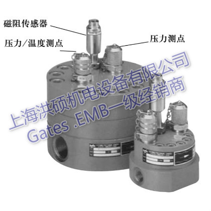 EMB儀表  齒輪流量計GFM