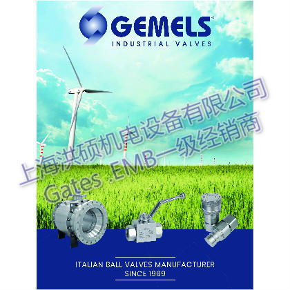GEMELS標志