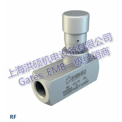 RF球閥意大利原裝進口GEMELS蓋姆斯
